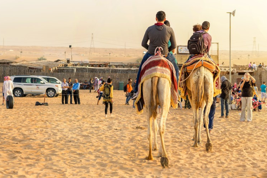 Desert Safari Tours