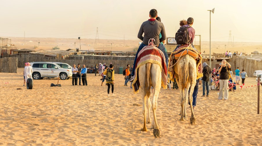 Desert Safari Tours